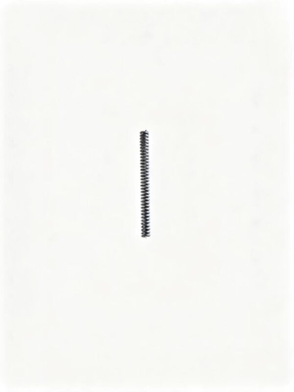 WG2229020003  Push Block Inner Spring