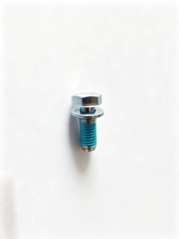 0636100466   Bolt with washer