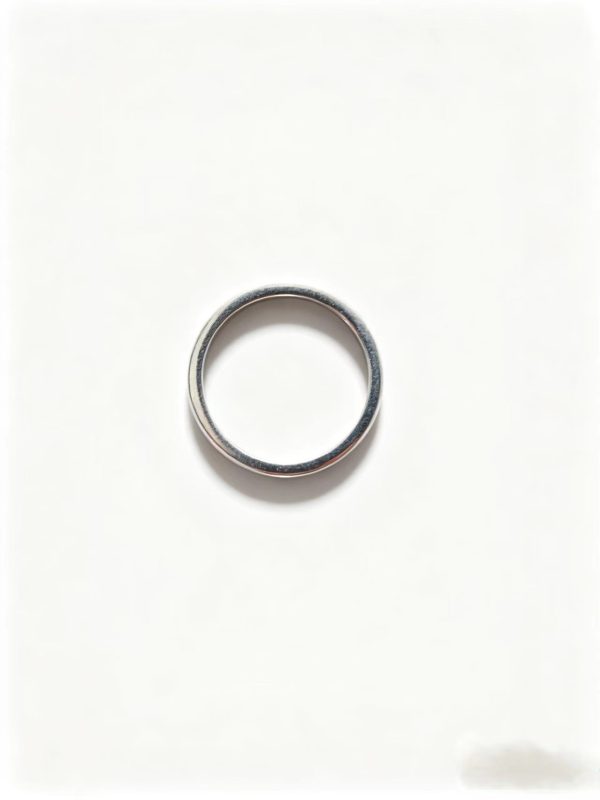 0730008637    Sealing ring