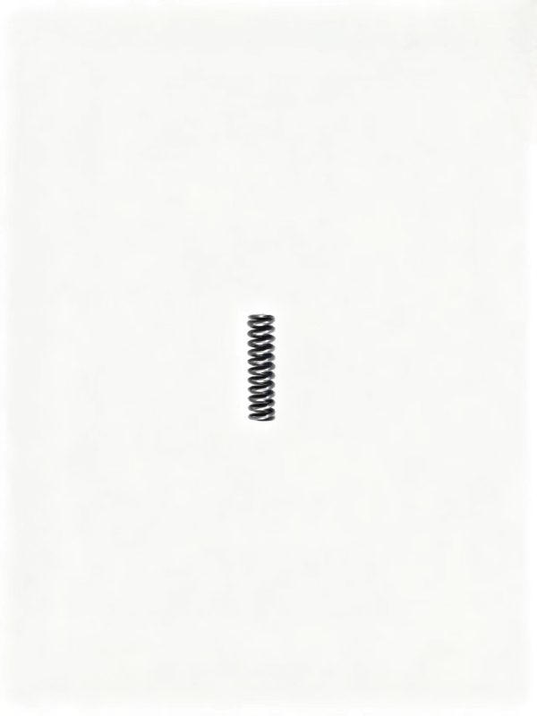 0732040409   Spring
