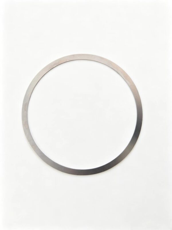 WG2229100081 Adjusting Shim