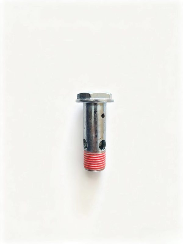 AZ900396160051  Hollow Bolt