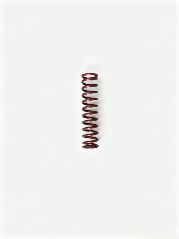 WG2229210019  Range Gear Lock Spring Weight: 6g Outer Diameter: 1.28cm Length: 5.3cm