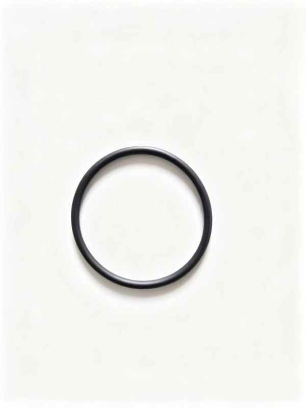 0634349856   O-ring