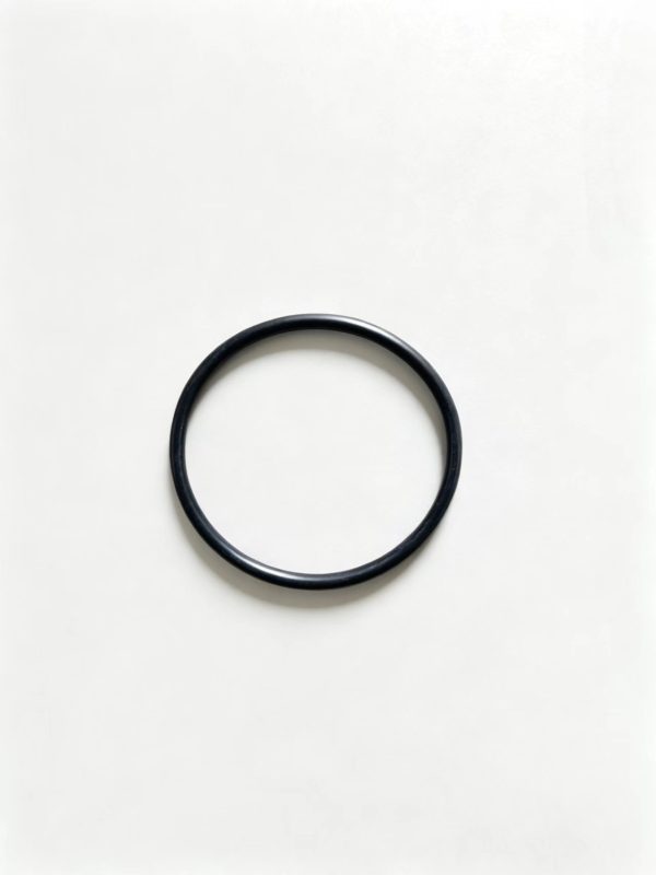 0634349857   O-ring