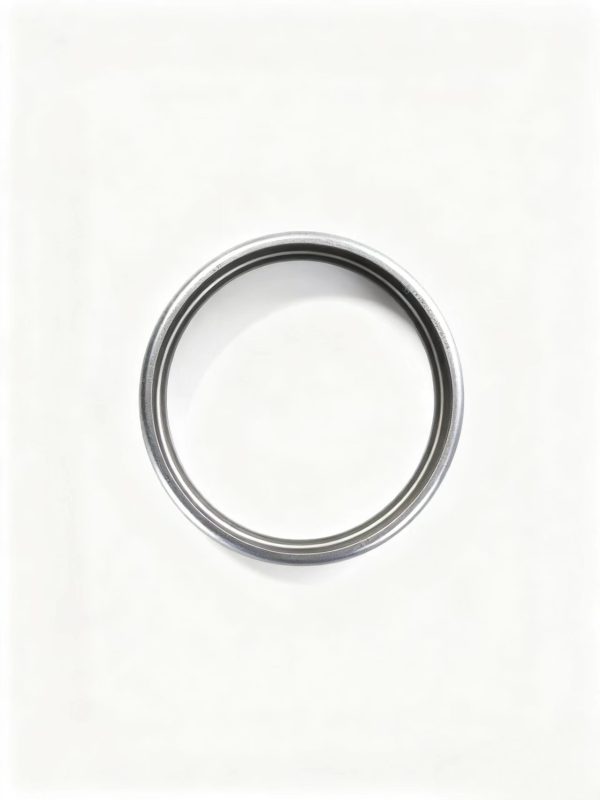 0501 328 496  Main Shaft Sliding Ring