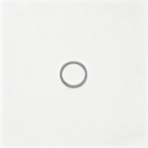 0730 007 784  Countershaft Adjusting Shim