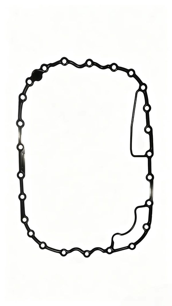 0501329501   Rear housing gasket