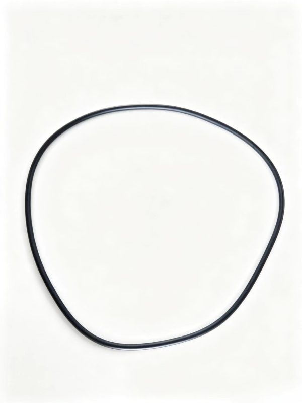 0634349849  O-Ring