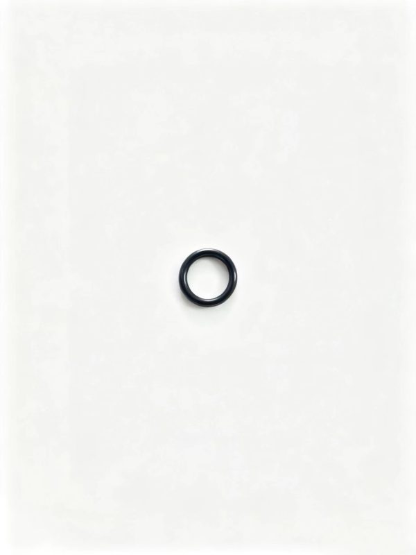 0634349853   O-Ring