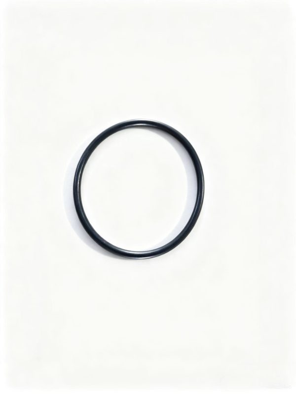 0634349857   O-Ring