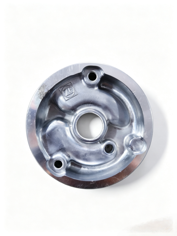 1325303017   Pump Cover